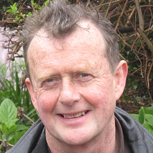 Photo of David Gibson