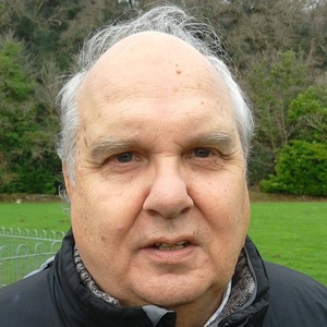 Photo of Mike McLening