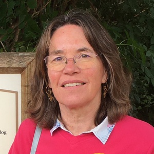 profile photo of Sue Lewin