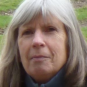 Photo of Chris Saunders